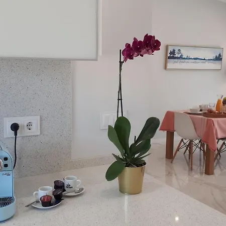 Modern Near The Sea And Town Centre Villa Alvor
