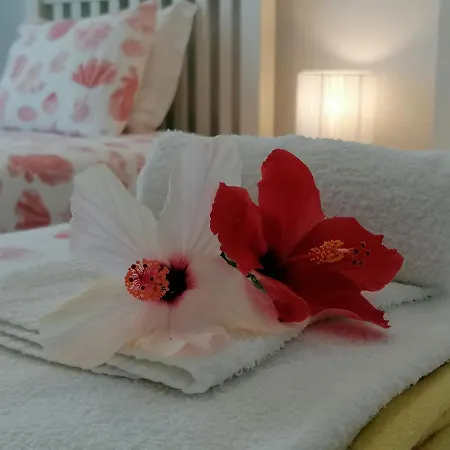 Villa Modern Near The Sea And Town Centre *